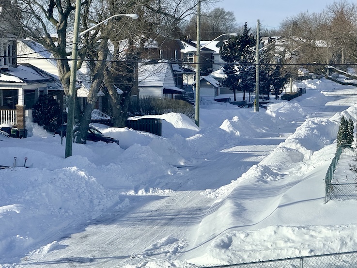 Alone but never lonely — an art&nbsp;week